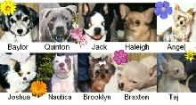 All of my kiddos!