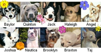All of my kiddos!