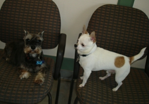 Braxton and Sophie