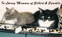 In Memory of Two Sweet Boys.