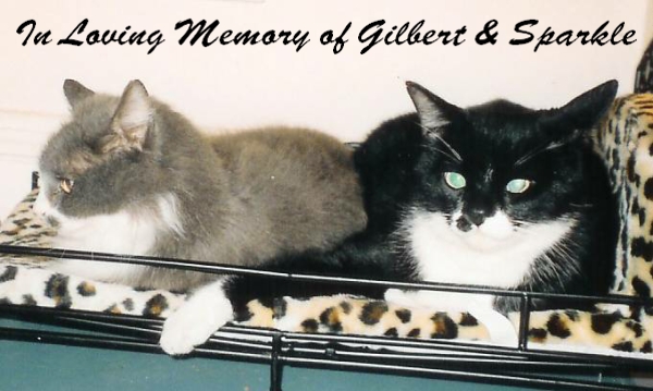 In Memory of Two Sweet Boys.