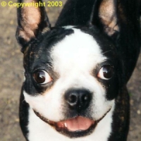 Jack's Beautiful Smile
