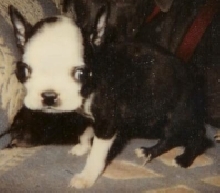 Ja[bleep] @ 3 months old