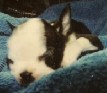 Ja[bleep]al @ 10 weeks