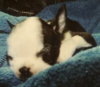 Ja[bleep]al @ 10 weeks