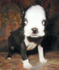 Jack