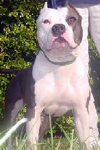 Nautica