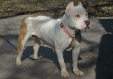 Ms. Tella