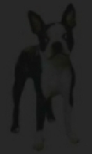 Jack