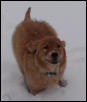 Lola Running