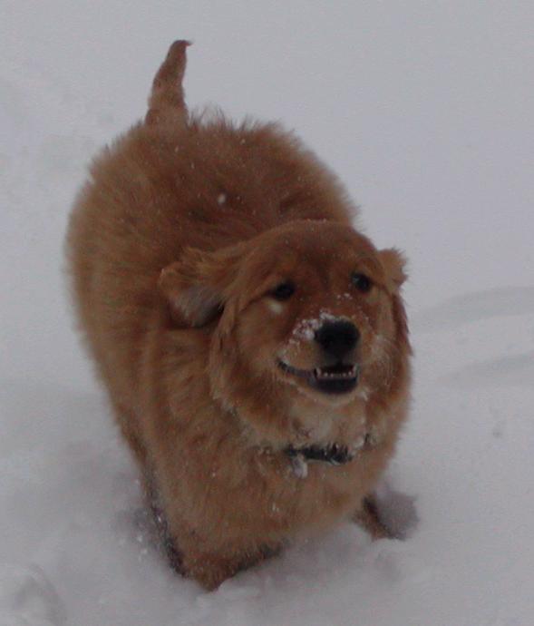 Lola Running
