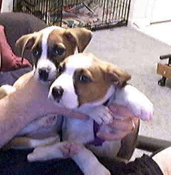 Could be Siblings!