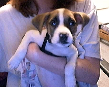 Sam