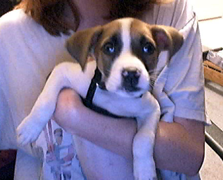 Sam