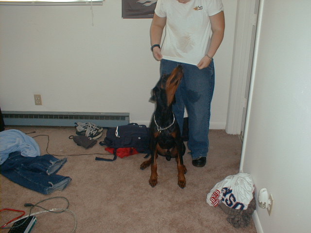 Odin After His Bath