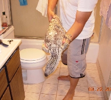 Rock after shower