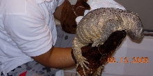Rockie 1st Shower
