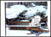 beardie outside-joke