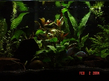 Another pic of the 10gl