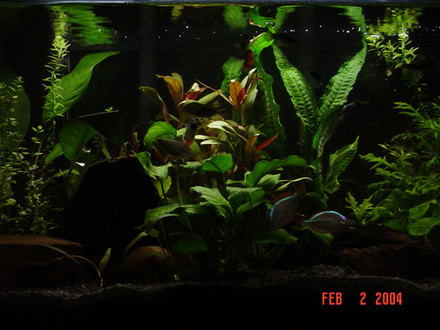Another pic of the 10gl