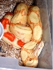 albino het stripe
