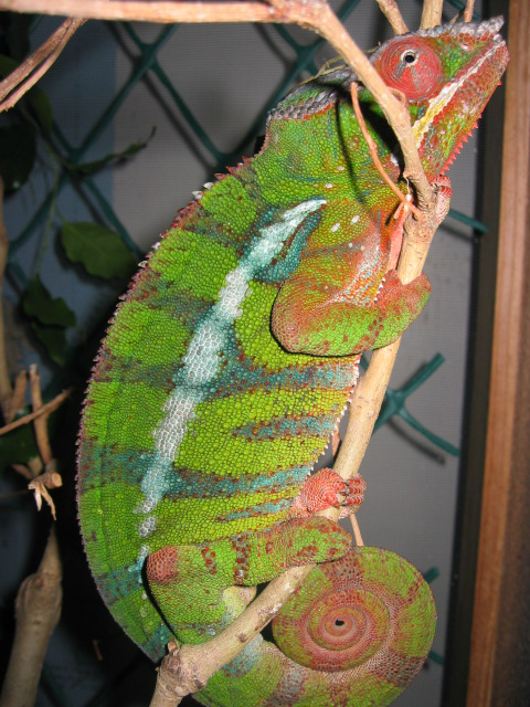 WC Ambilobe