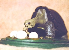 Mama Galap with Hatchlings