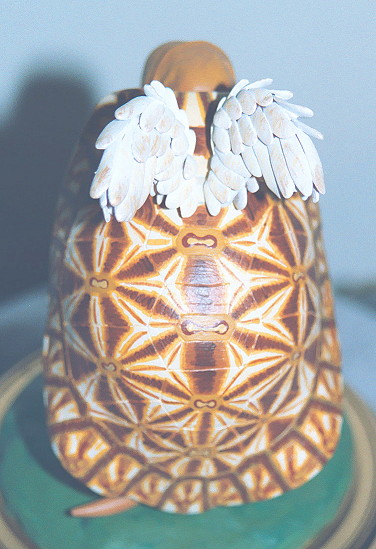 The back of 'Angel Turtle'