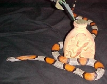 Boris