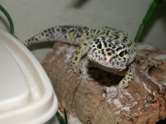 Why are you always looking at me, taking my picture....Just STOP it already