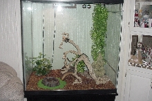 130 gal jcp setup