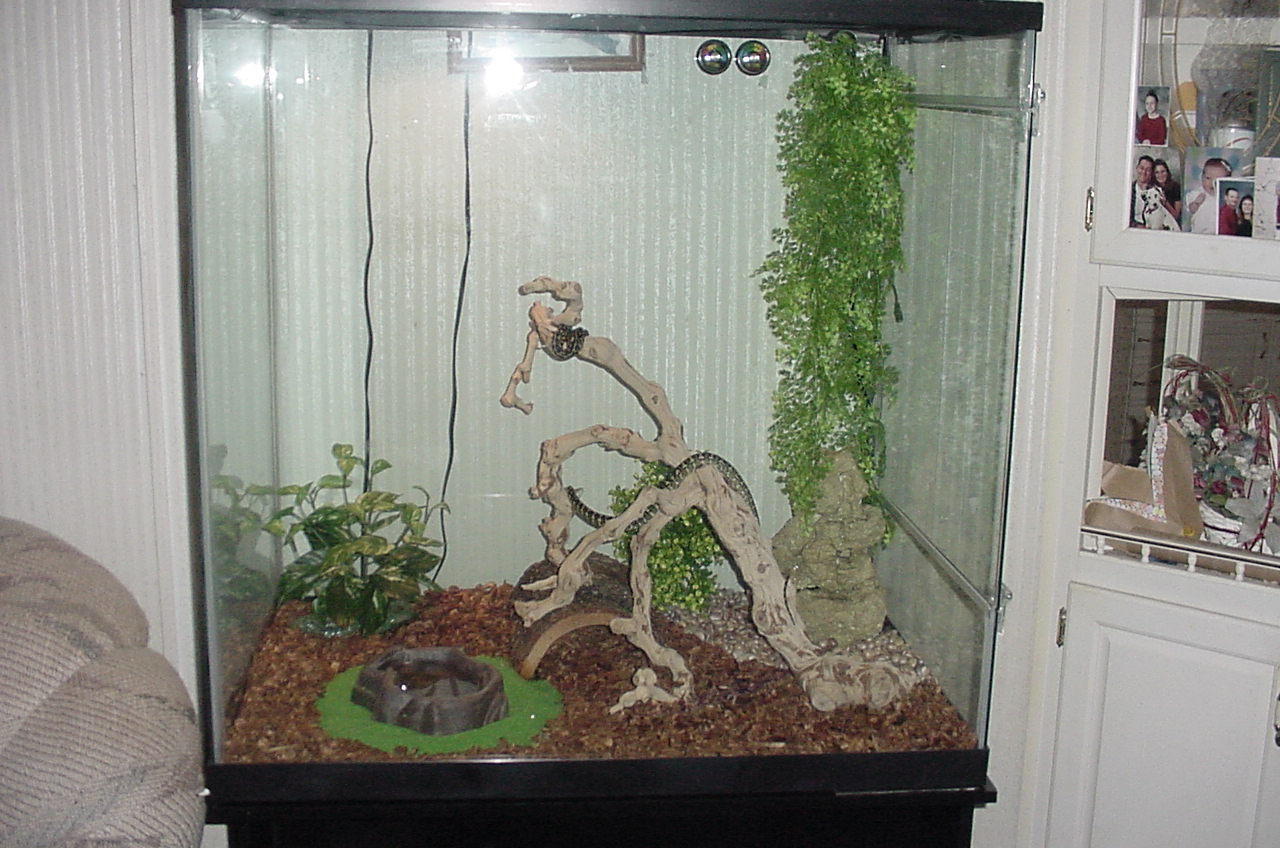130 gal jcp setup