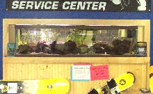 Tankwall