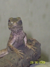 Close up of Twist
