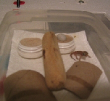 My First Baby!