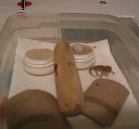 My First Baby!