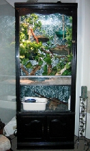 Bookcase Viv