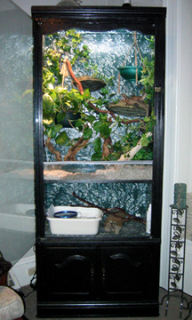 Bookcase Viv