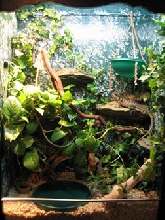 Book case Viv - Live Area