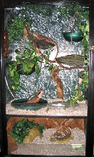 updated vivarium