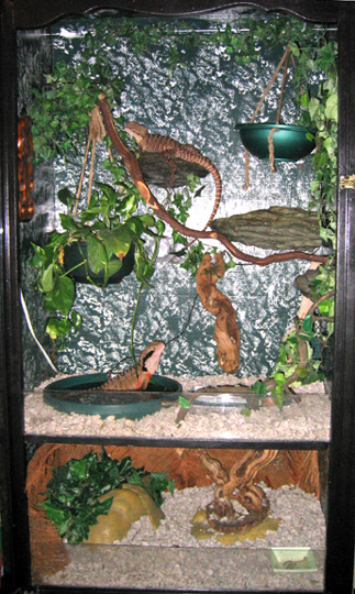updated vivarium