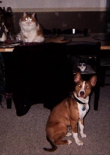 The whole family