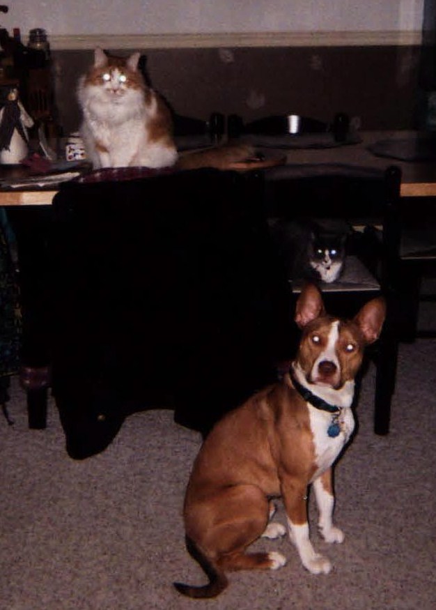 The whole family
