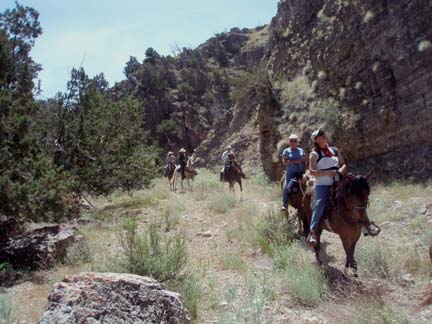 Nine Mile Ride 3