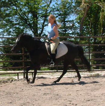 Zar cantering without headgear