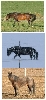 Same Place, Same Horse