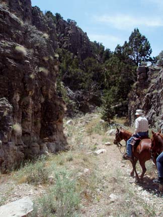 Nine Mile Ride 2