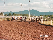 Speed Gait