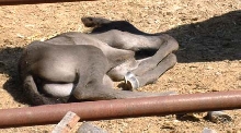 Nap time