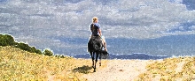 Trail